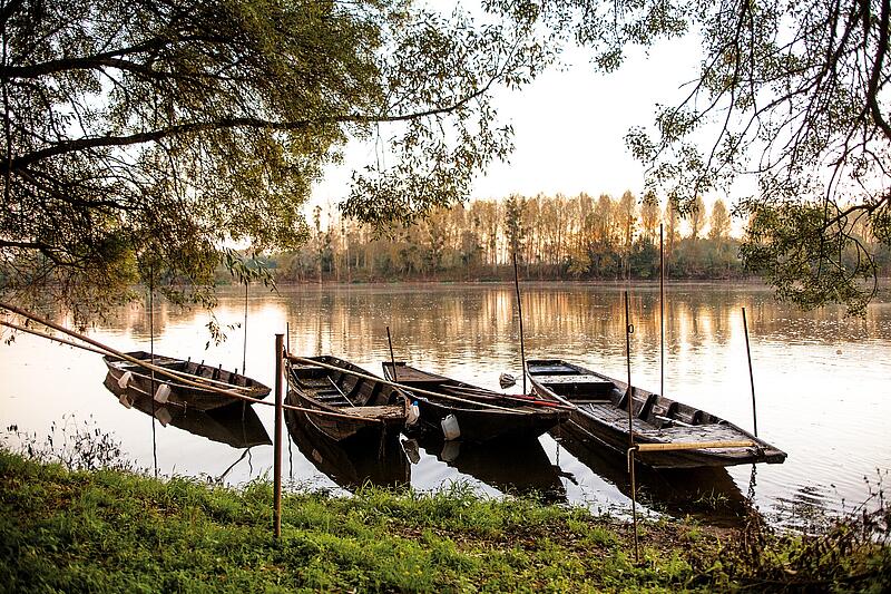 [Translate to Espagnol:] 