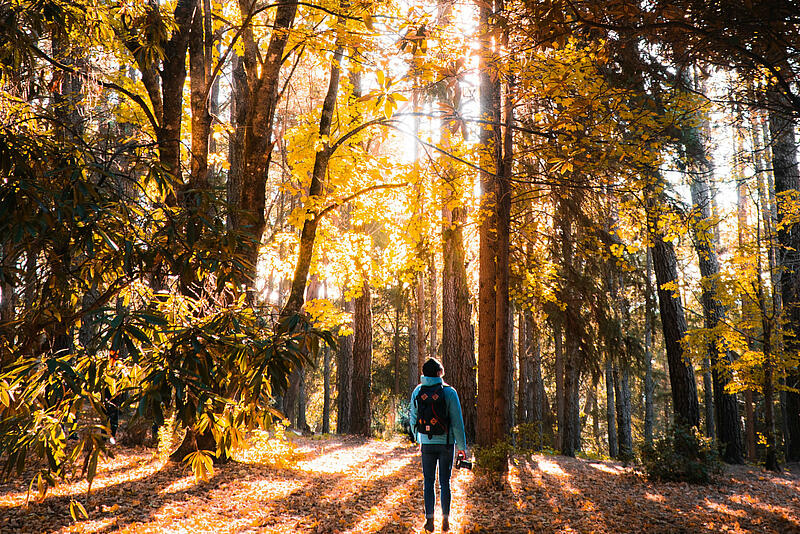 [Translate to Espagnol:] 