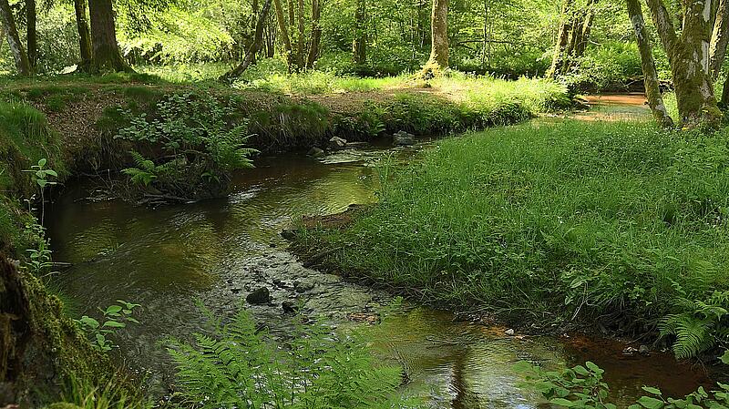 [Translate to Espagnol:] 