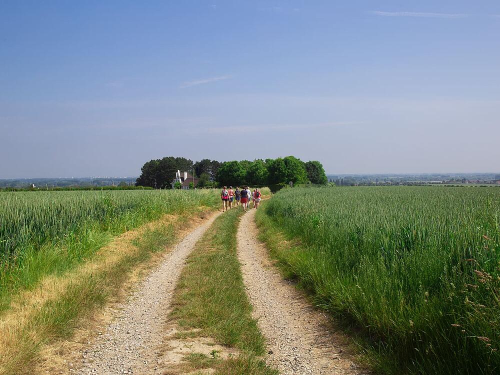Camping Castel Camping Domaine de La Bien-Assise Guines Alta Francia 11