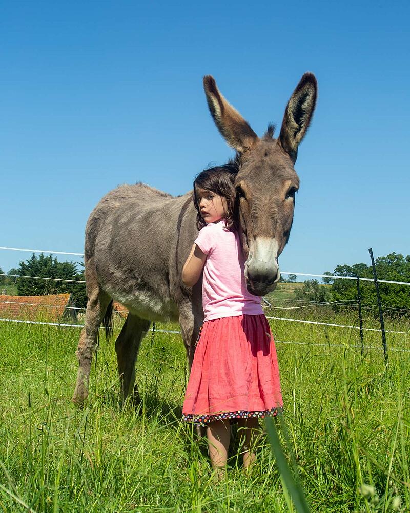 [Translate to Espagnol:] Young girl in a pink shirt hugging a large donkey in a grassy field at a Les Castels campsite.