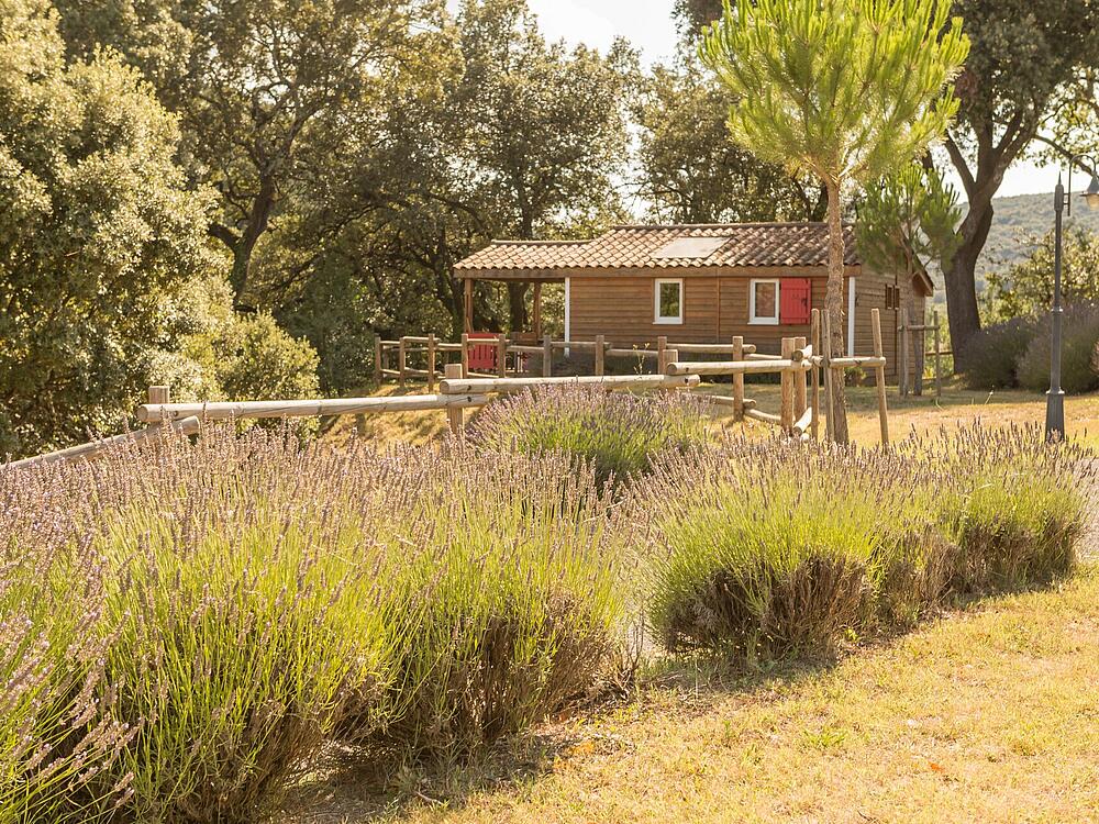 Camping Castel Domaine de Sévenier & Spa LAGORCE Auvergne-Rhône-Alpes 1