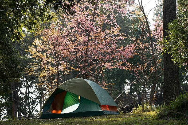 [Translate to Espagnol:] 