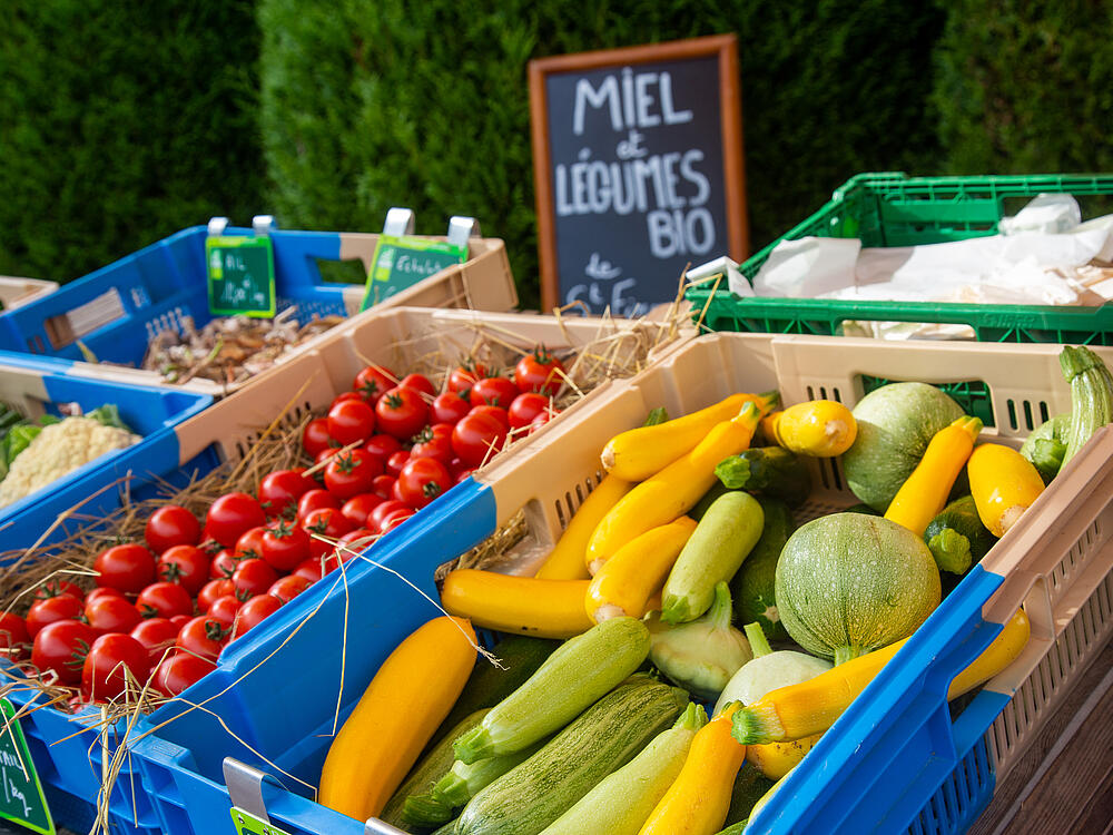 Camping Castel Camping Les Bois du Bardelet GIEN Centro 17