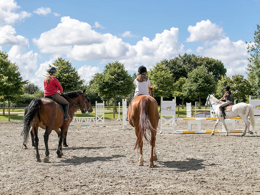 Camping Castel Camping Les Ormes, Domaine & Resort DOL DE BRETAGNE Bretaña 13