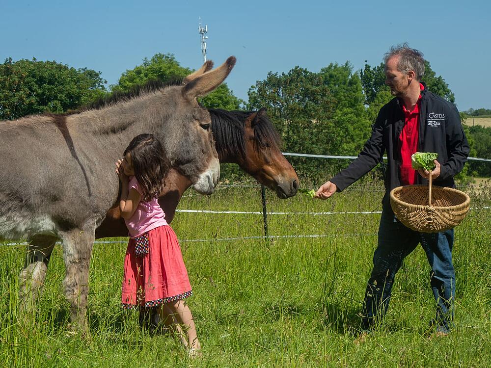 Camping Castel Camping Château de Lez-Eaux Saint Pair sur mer Normandía 11