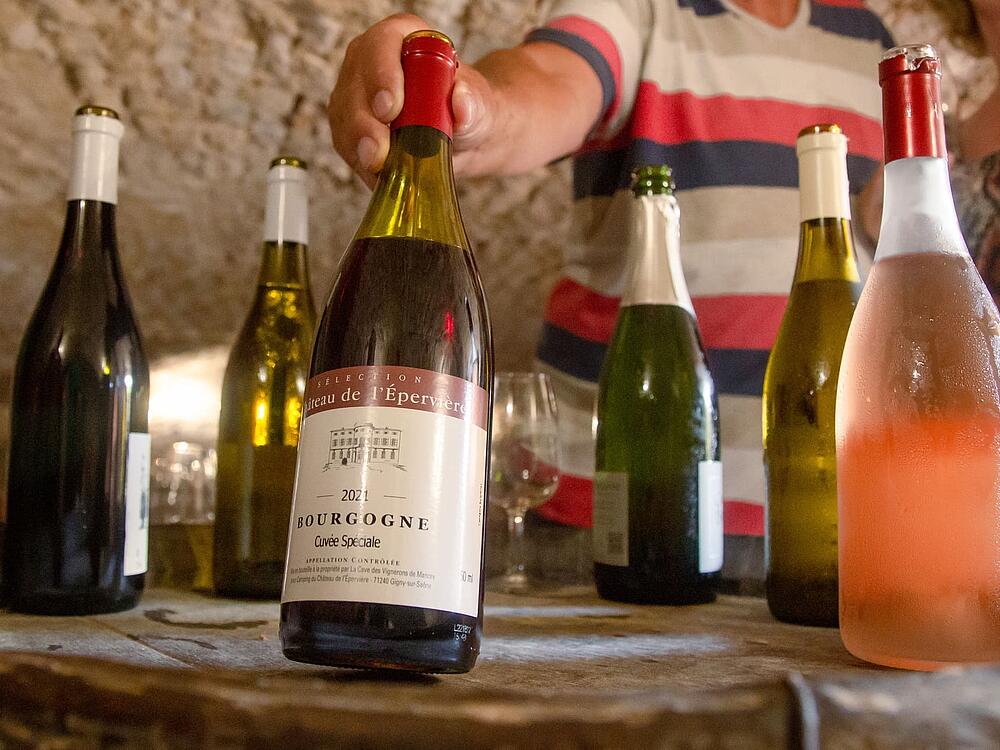 Camping Castel Camping Château de L'Epervière Gigny-sur-Saône Borgoña-Franco Condado 9