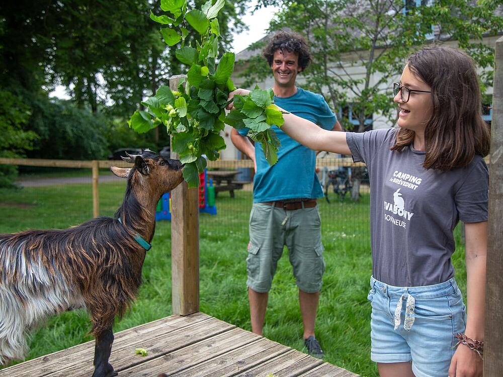 Camping Castel Camping Le Brévedent Le Brévedent Normandía 5