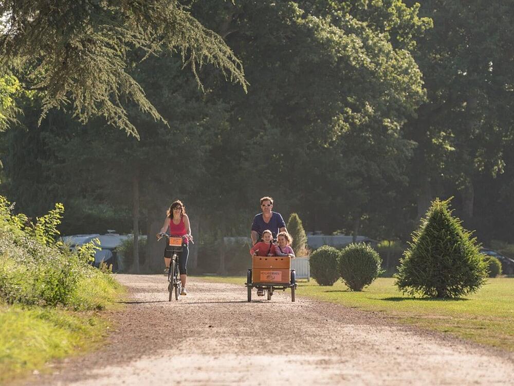 Camping Castel Camping Les Ormes, Domaine & Resort DOL DE BRETAGNE Bretaña 8