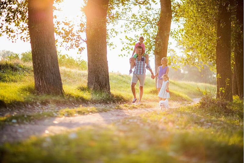 [Translate to Espagnol:] 