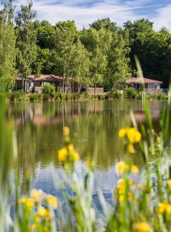 Alquiler de chalet