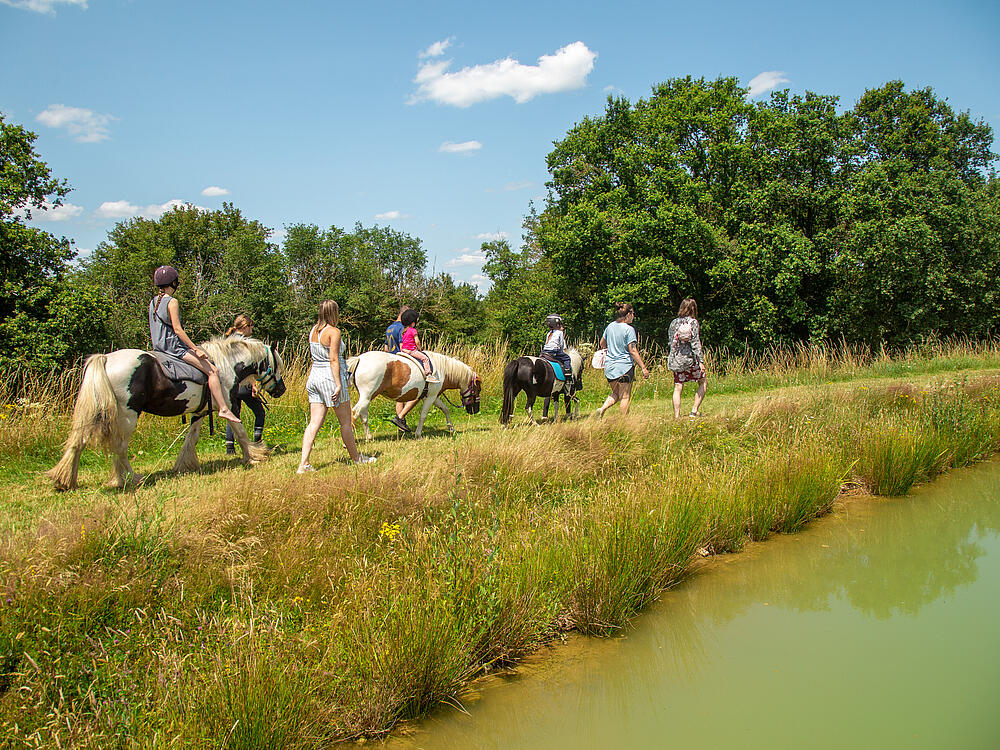 Camping Castel Camping Les Bois du Bardelet GIEN Centro 5