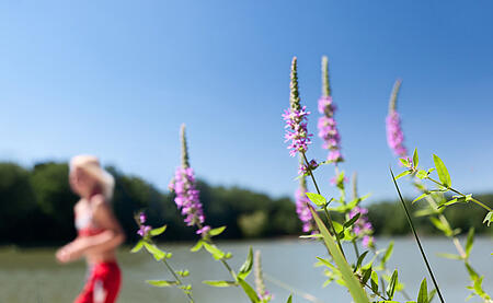 [Translate to Espagnol:] 