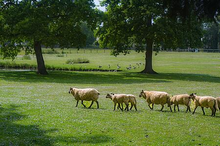 [Translate to Espagnol:] 