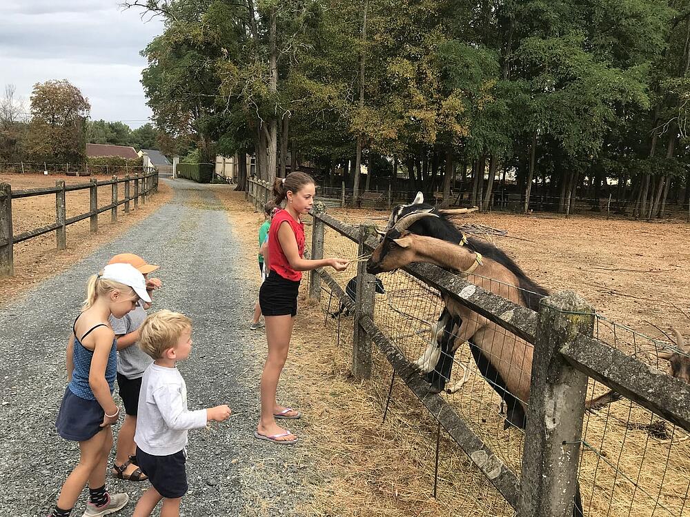 Camping Castel Camping Château de Chanteloup SILLE-LE-PHILIPPE Países del Loira 11