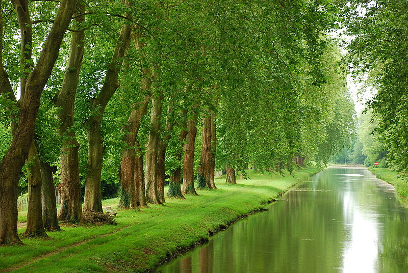 [Translate to Espagnol:] 