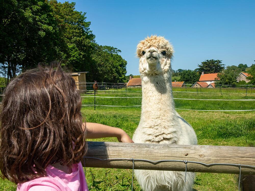 Camping Castel Camping Château de Lez-Eaux Saint Pair sur mer Normandía 10