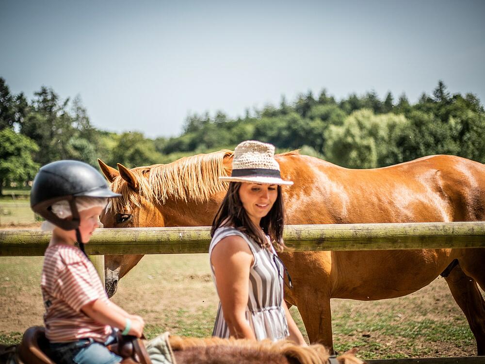 Camping Castel Camping Les Ormes, Domaine & Resort DOL DE BRETAGNE Bretaña 18