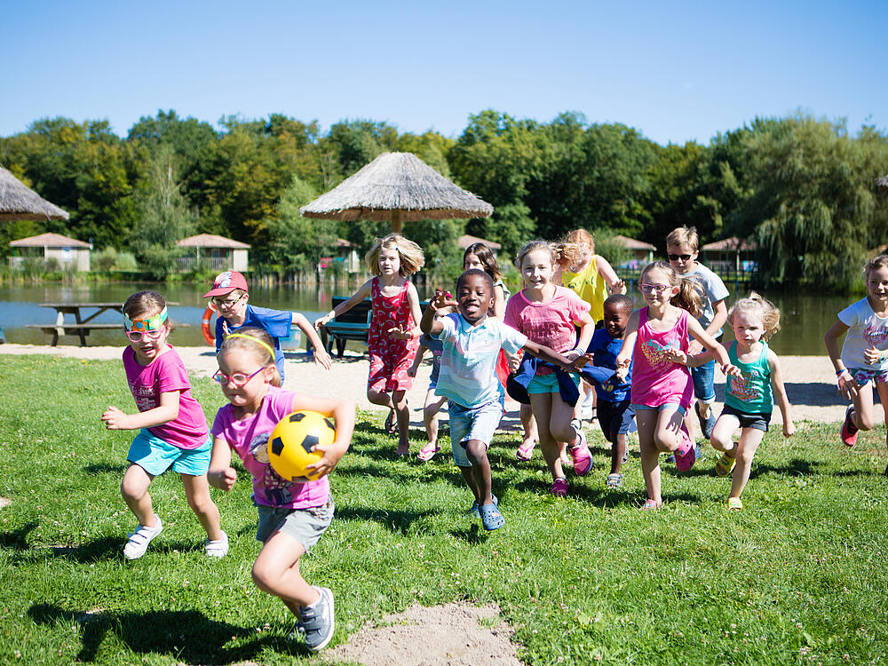 Camping Castel Camping Les Bois du Bardelet GIEN Centro 6