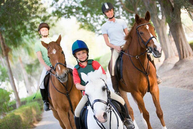 [Translate to Espagnol:] 