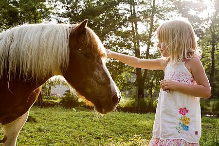 [Translate to Espagnol:] 